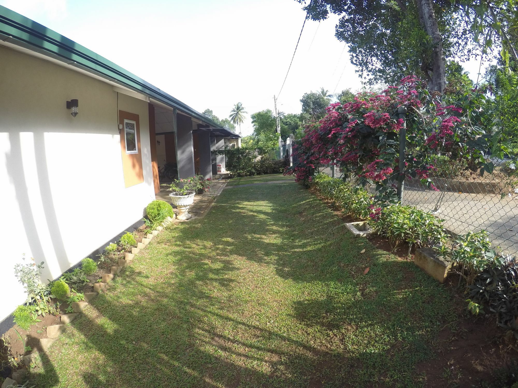 Hotel The Victoria Nest Bungalow à Digana Extérieur photo